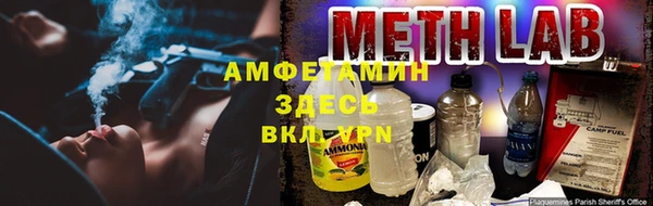 хмурый Осинники