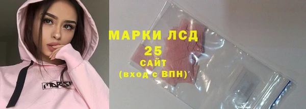 гашик Нестеровская